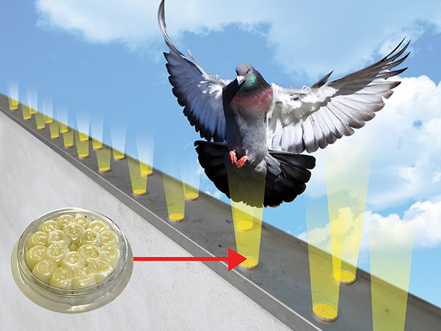 pestweb optical gel bird deter pestweb optical gel bird deter