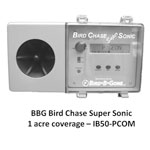 Super Sonic Bird Chase