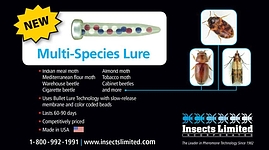 Ptl Multi-species Lure