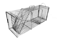 608SS - 10x12 Pro Raccoon Trap with One Trap Door and Rear Access Door